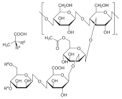 Xanthan Gum 