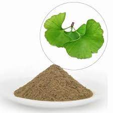 Ginkgo biloba extract