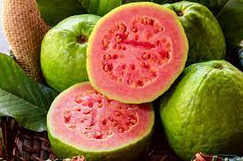 Guava 861147 TD 0594