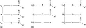 MCT Oil