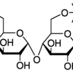 Maltodextrin NF