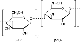 oat beta glucan